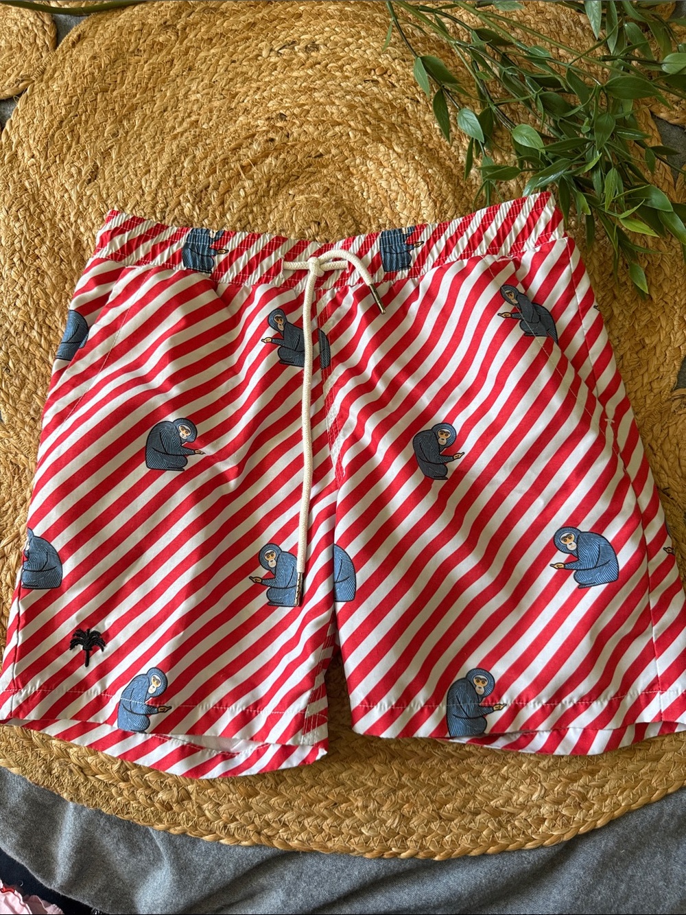 OAS Polka Monkey Swim Shorts Boys. 12